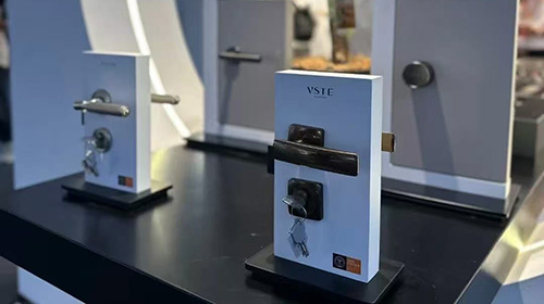 About VAISITE