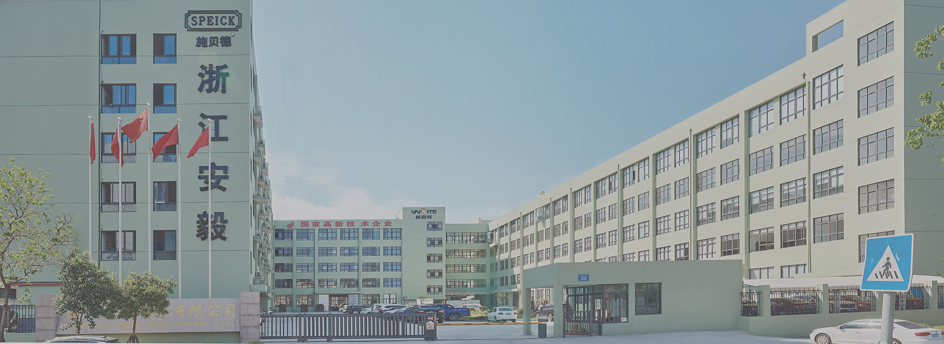 About VAISITE