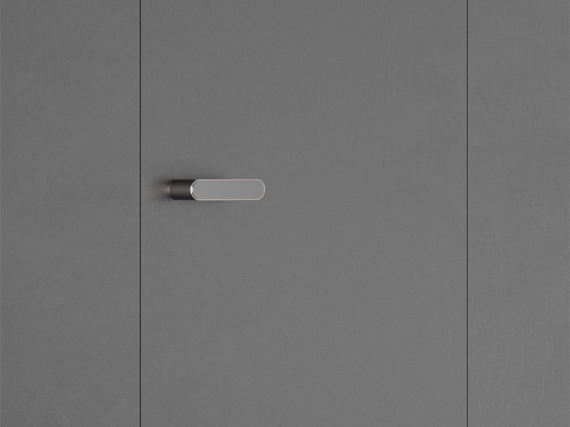 Door Levers
