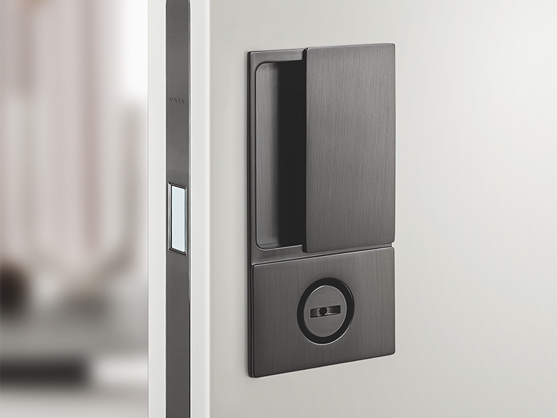 Pocket Door Handles