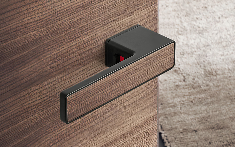 Door Handles T52