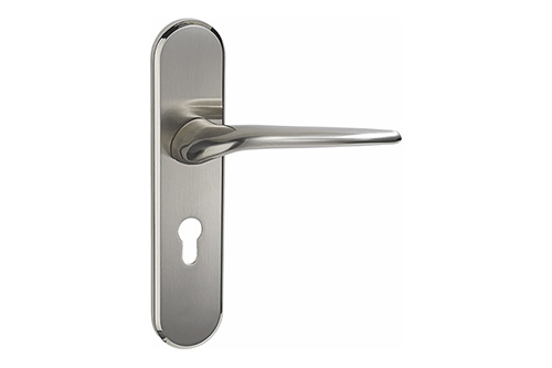 Door Lever B810-216
